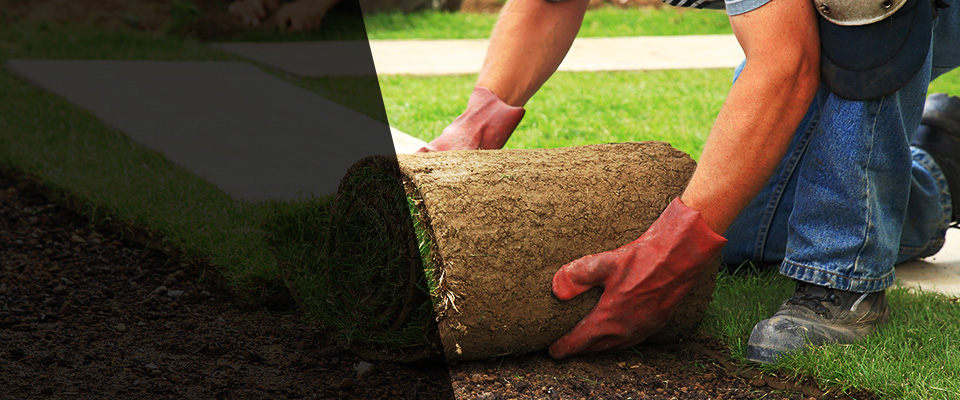 Coventry Landscapers